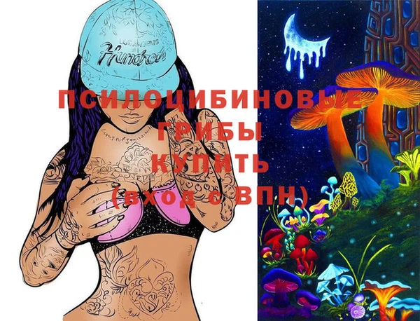 mdma Каменка