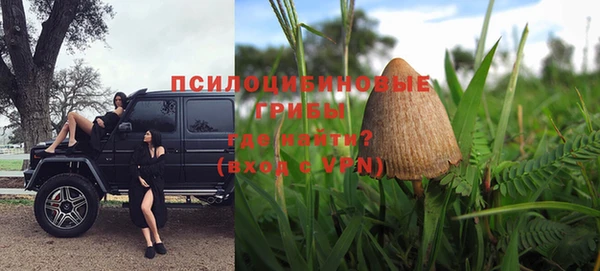 прущий лед Касимов